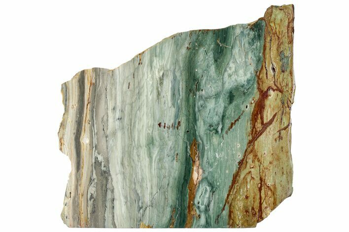 Gary Green Jasper (Larsonite) Bog Wood Slab - Oregon #314988